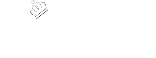 Acer Limousine Services LLC - Logo